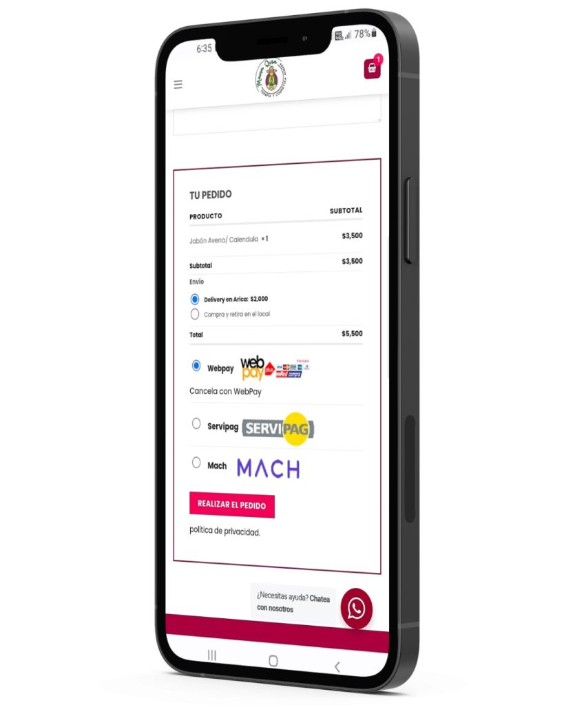 Home paginas web pymes chile